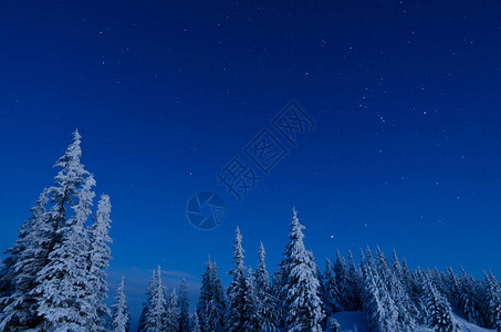 蓝色调的冬季景观山林中的雪树星空图片