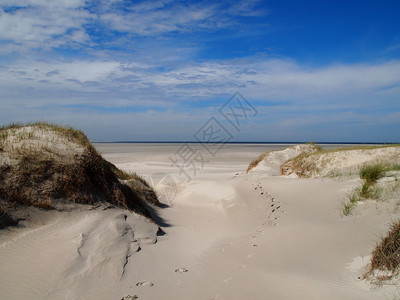荷兰Terschelling海滩之图片