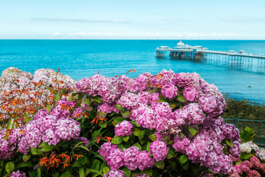 在英国北威尔士的Llandudno海战线美丽的夏日图片