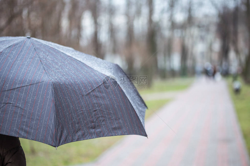 秋天或春天下雨时图片