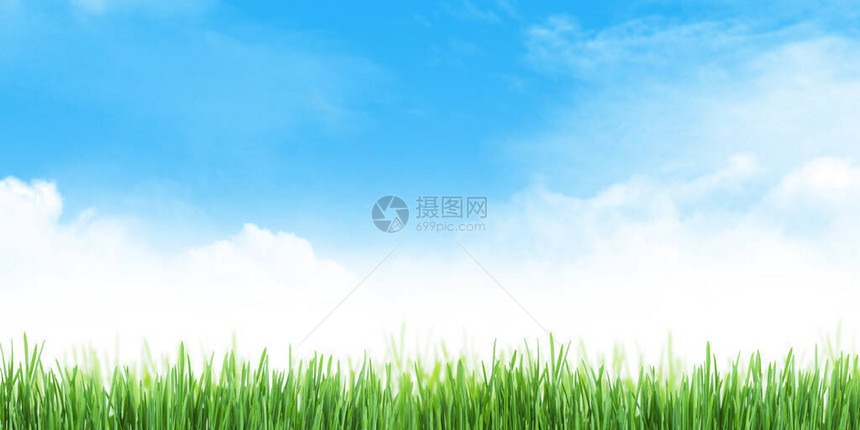 夏季草地和阳光明媚的天空摘要图片