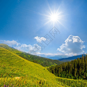 闪发光的阳光下的绿色山谷图片