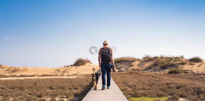 男人带着狗走在沙滩上的木路上望图片