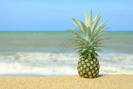 蓝天沙滩上的菠萝图片