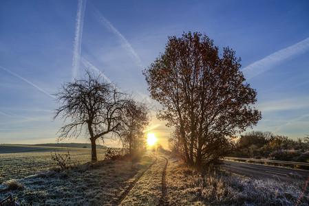 冬天的日出田野和蓝天白霜图片