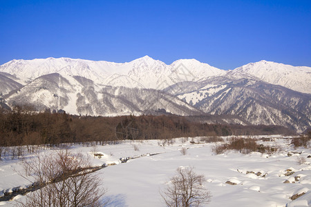 日本长野冬季H图片