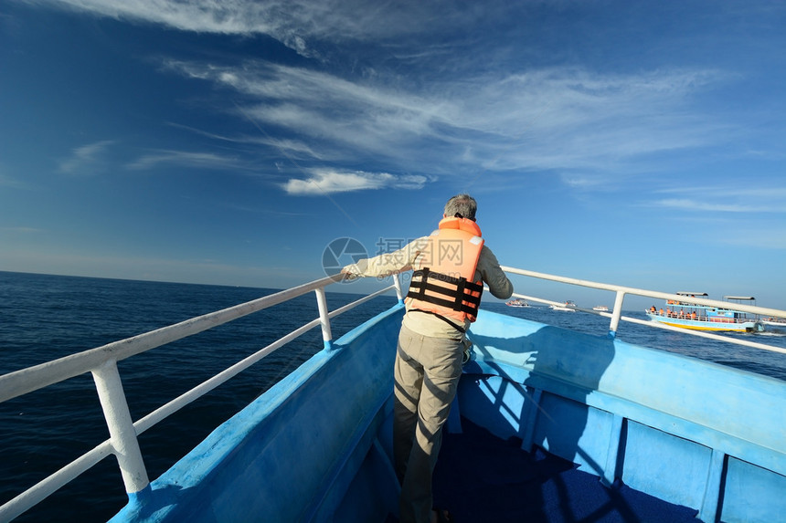 鲸鱼和海豚观赏船的游客图片