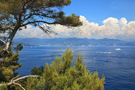地中海和利古里安海岸线经过意大利北部波尔多菲图片