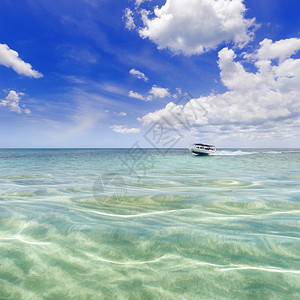 在热带岛屿的清蓝水上与游客图片