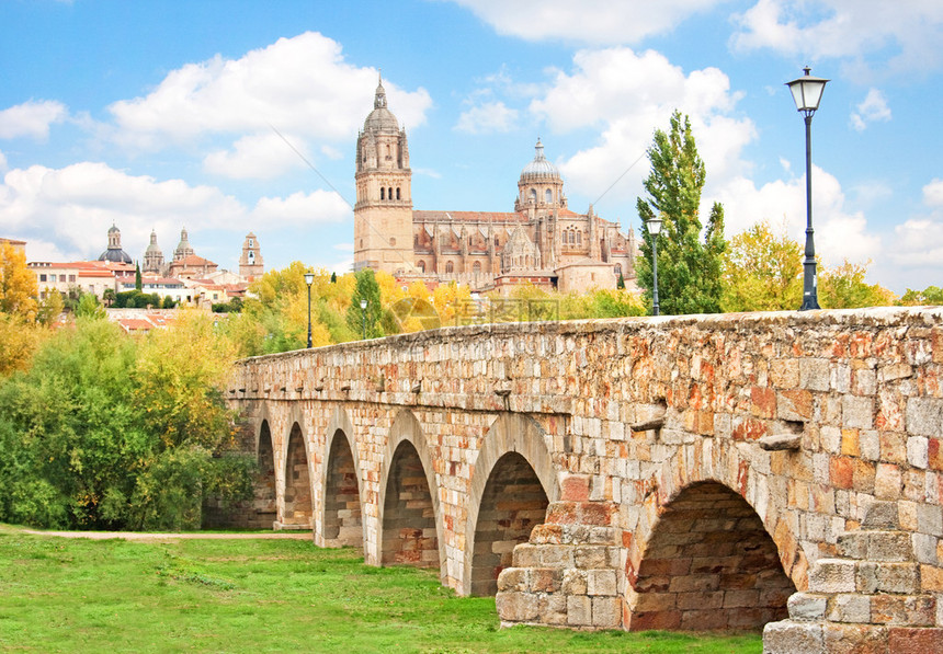 西班牙CastillayLeon地区新大教堂和罗马桥的历史城市萨拉曼图片