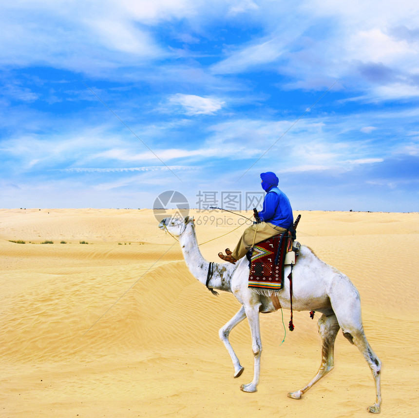 骑骆驼穿过撒哈拉沙图片
