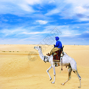 骑骆驼穿过撒哈拉沙背景图片