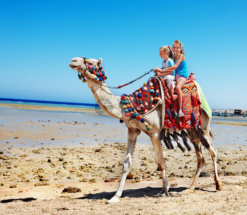 埃及海滩上骑骆驼的旅游儿童校对P图片