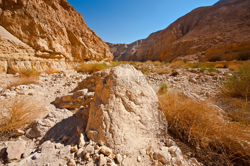约旦河西岸朱迪亚沙漠的峡谷图片