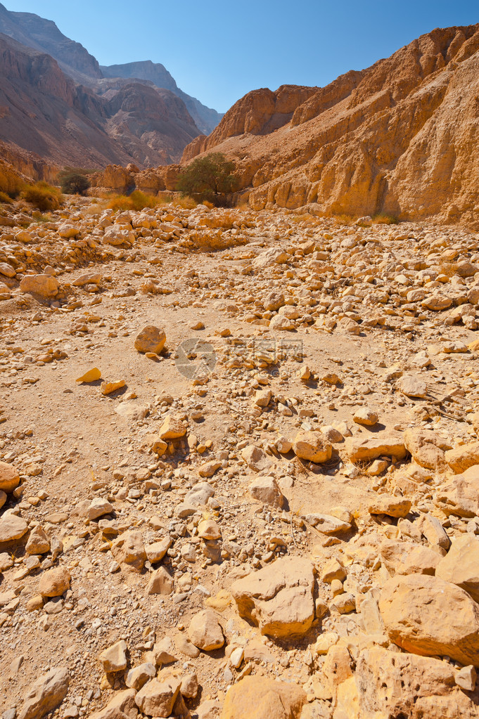 约旦河西岸朱迪亚沙漠的峡谷图片