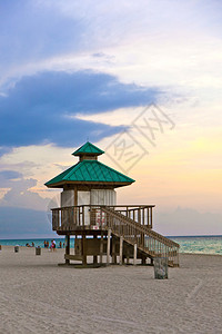 迈阿密Sun图片