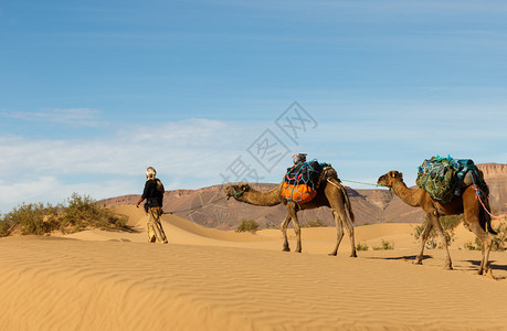 在摩洛哥撒哈拉沙漠的撒哈拉沙漠中图片