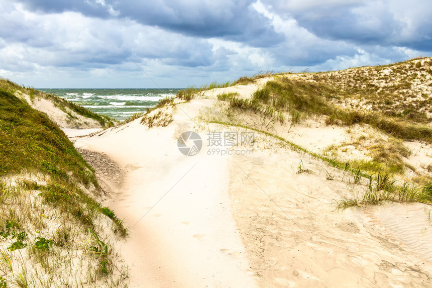 立陶宛尼达的波罗的海岸线上的沙丘图片