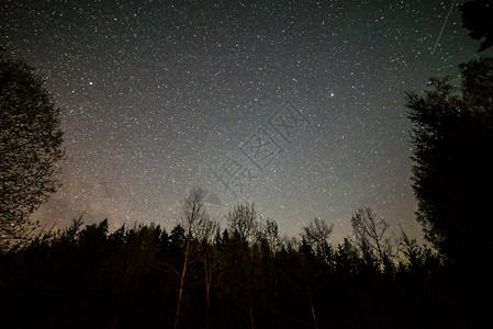 夜空中有星林中有星宿图片