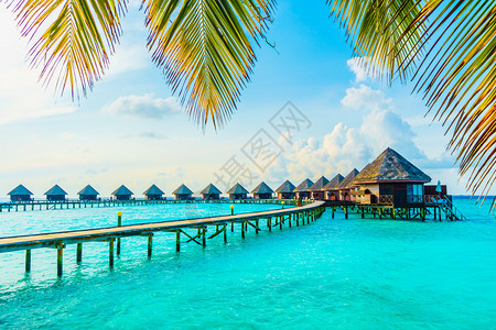 美丽的马尔代夫热带度假酒店和岛屿图片