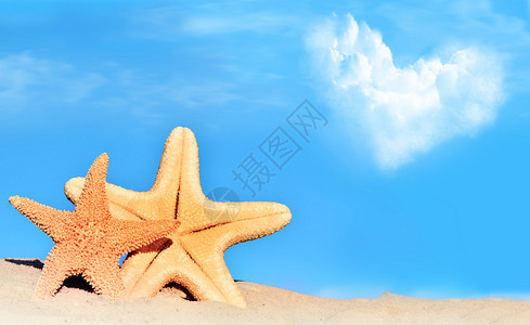 海滩上的两只海星和心云图片