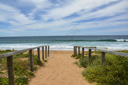 澳大利亚悉尼北部海滩的美丽海滩图片