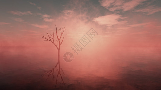 日出时天阴云密布的迷雾湖中的死图片