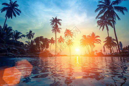 日落时棕榈树在热带海边的水中倒影图片