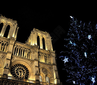 法国圣诞节巴黎圣母图片