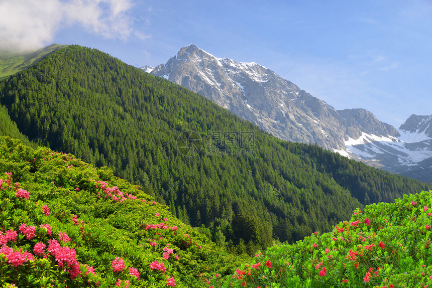 从Antholzertal谷的山景Riesenfernergruppe山脉图片