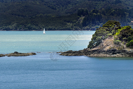 白色游艇航行于新西兰无疑湾背景图片
