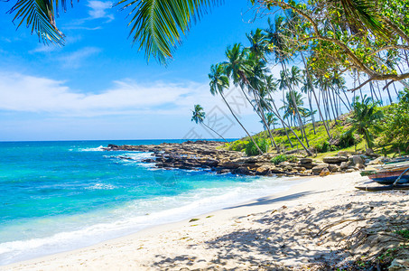 斯里兰卡热带沙滩图片