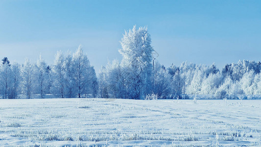 芬兰拉普兰罗瓦涅米Rovaniemi冬图片