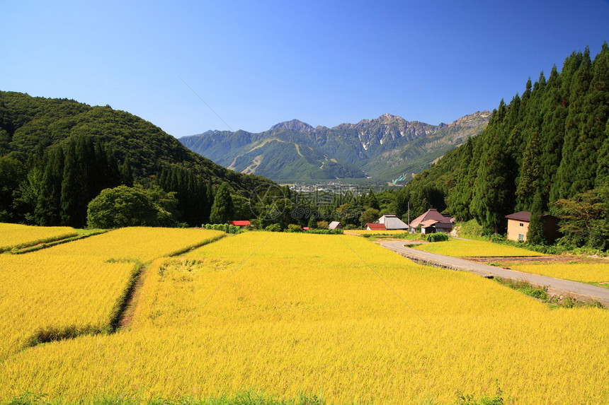 日本长野Hakuba村日本阿尔图片