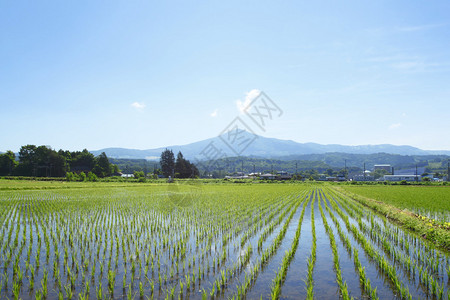 日本木田茂中山和青蓝天空日本背景图片