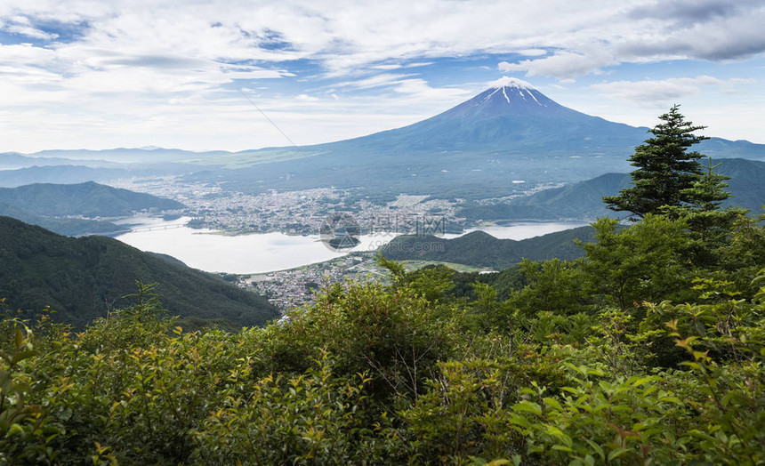 夏季的富士山和河口湖图片