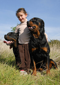 小姑娘和她的两只狗图片