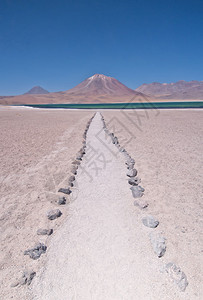 通往智利沙漠的拉古纳湖Miscanti之路图片