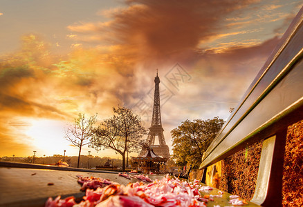 法国巴黎美丽春天早晨图片