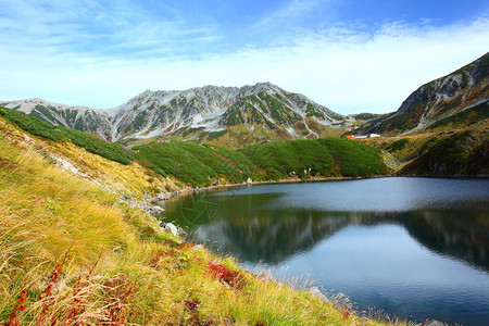 日本立山和池塘的秋天图片