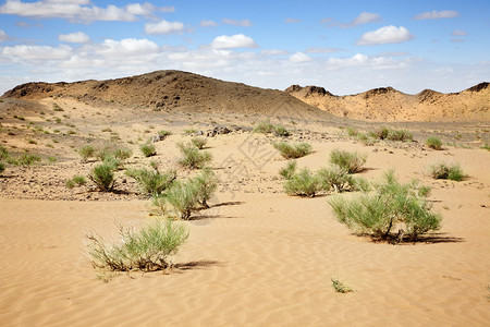 Gobi蒙古沙漠景观图片
