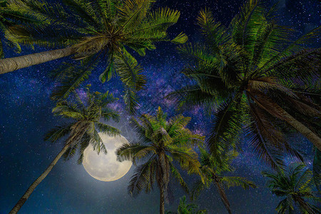 夜空中带满月和银河系的硅色椰子棕榈树美国航天局提供的月图片