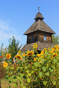乌克兰VelykiSorochyntsi地区索罗琴茨博览会图片