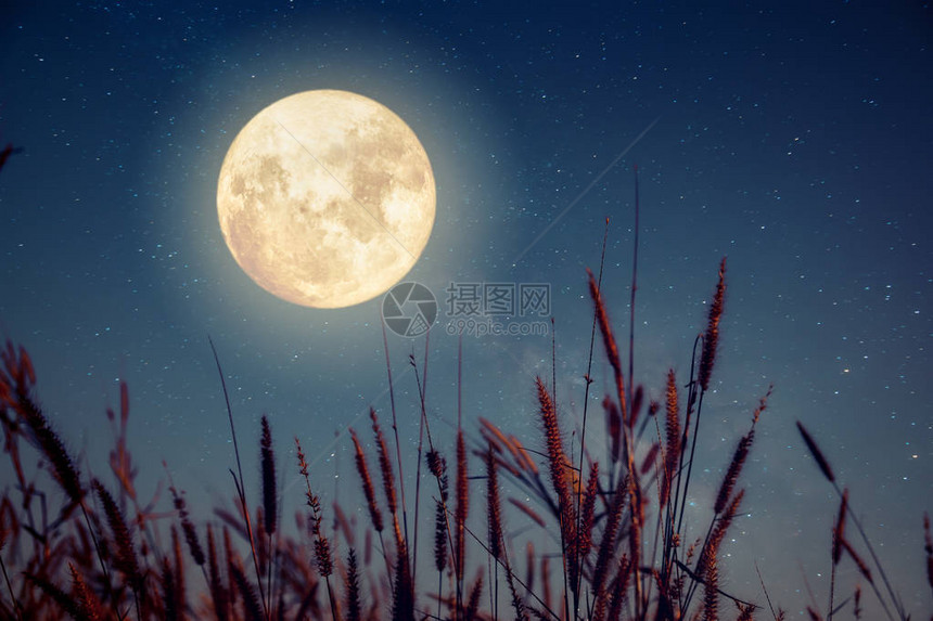 美丽的秋天幻想秋天的野花和夜空背景中的银河星满月具有复古色调的复图片