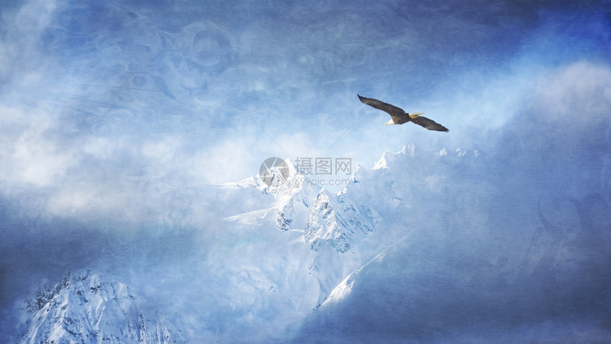 雄鹰飞过阿拉斯加山脉图片