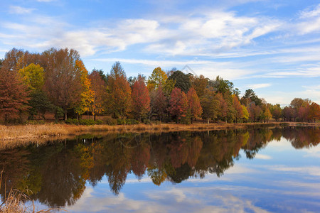 秋天色的树反射南非背景图片