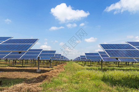 太阳能发电厂中的多晶硅太阳能电池排向天空吸收来自太阳的光图片