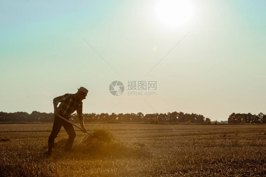 种植草帽和麦田干草的自谋职业者情况简图片