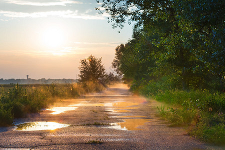 雨后的夏秋路背景图片