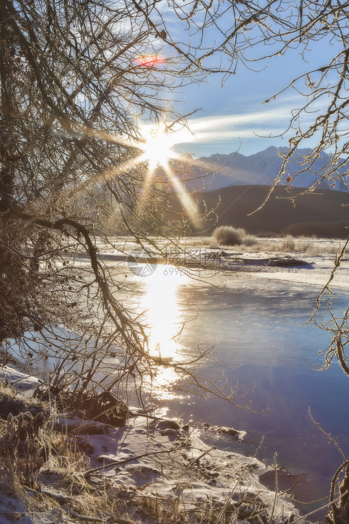 冬日在奇尔卡特河上暴发树枝塑造图片